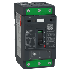 Disjoncteur 80A 50kA